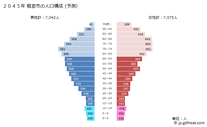 グラフ 根室市(ﾈﾑﾛｼ 北海道)の人口と世帯 2045年の人口ピラミッド（予測）
