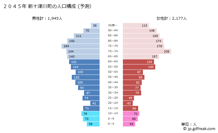 グラフ 新十津川町(ｼﾝﾄﾂｶﾜﾁｮｳ 北海道)の人口と世帯 2045年の人口ピラミッド（予測）