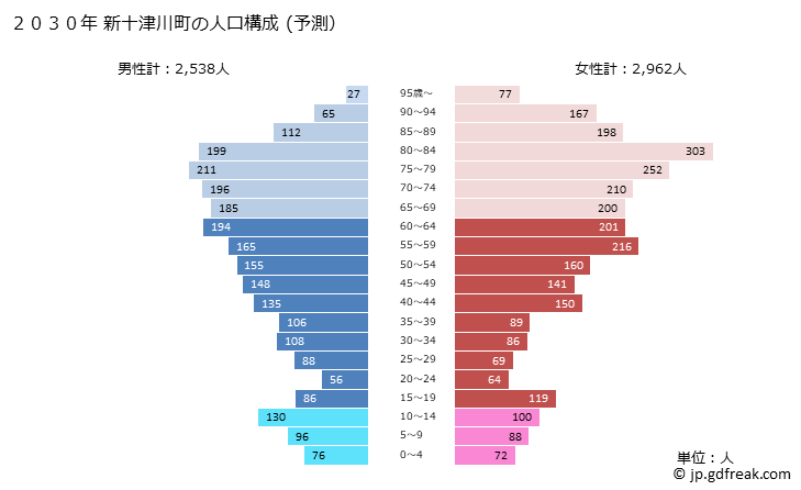 グラフ 新十津川町(ｼﾝﾄﾂｶﾜﾁｮｳ 北海道)の人口と世帯 2030年の人口ピラミッド（予測）