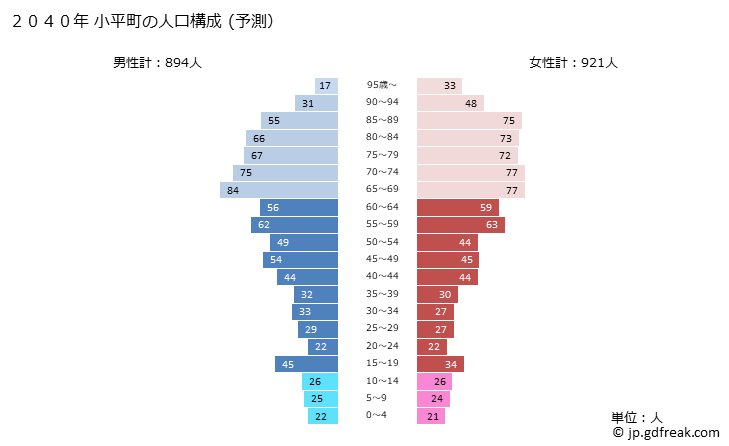 グラフ 小平町(ｵﾋﾞﾗﾁｮｳ 北海道)の人口と世帯 2040年の人口ピラミッド（予測）