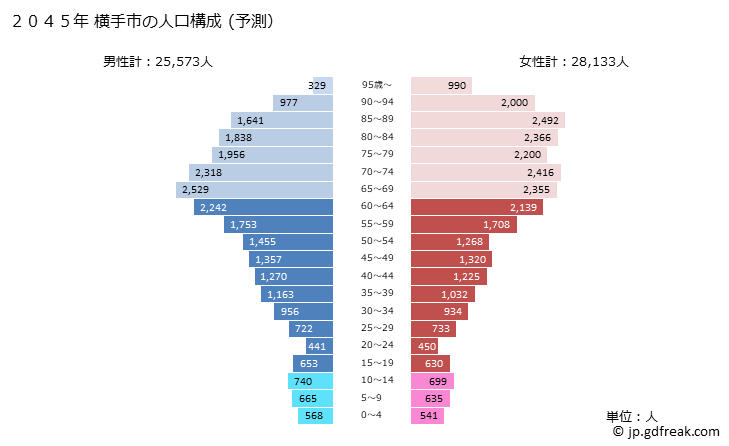 グラフ 横手市(ﾖｺﾃｼ 秋田県)の人口と世帯 2045年の人口ピラミッド（予測）