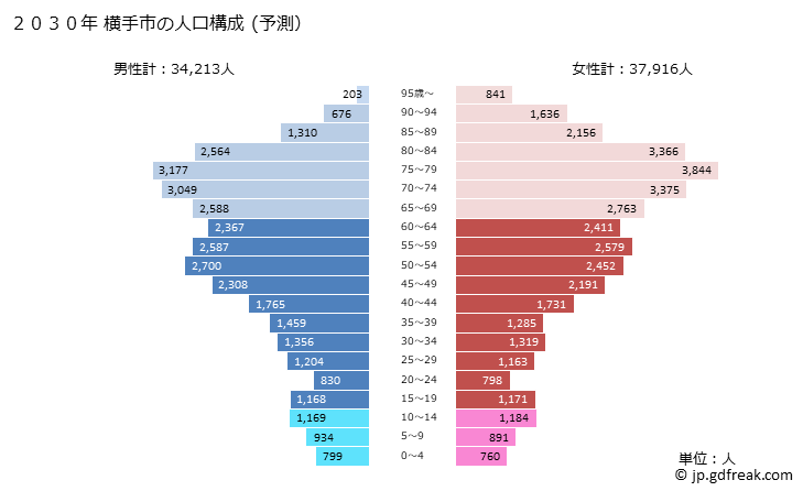 グラフ 横手市(ﾖｺﾃｼ 秋田県)の人口と世帯 2030年の人口ピラミッド（予測）