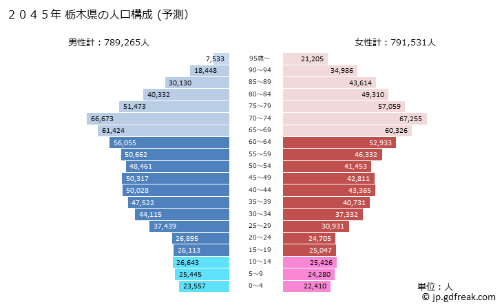 グラフ 栃木県の人口と世帯 2045年の人口ピラミッド（予測）