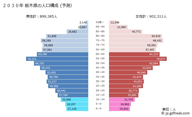 グラフ 栃木県の人口と世帯 2030年の人口ピラミッド（予測）