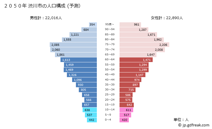 グラフ 渋川市(ｼﾌﾞｶﾜｼ 群馬県)の人口と世帯 2050年の人口ピラミッド（予測）
