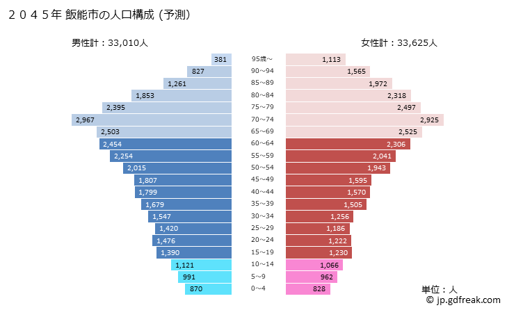 グラフ 飯能市(ﾊﾝﾉｳｼ 埼玉県)の人口と世帯 2045年の人口ピラミッド（予測）