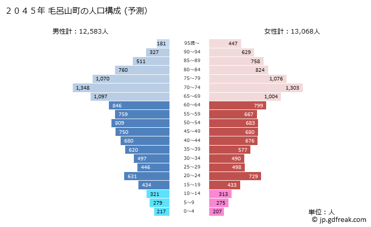 グラフ 毛呂山町(ﾓﾛﾔﾏﾏﾁ 埼玉県)の人口と世帯 2045年の人口ピラミッド（予測）