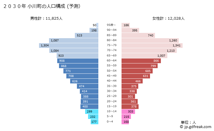 グラフ 小川町(ｵｶﾞﾜﾏﾁ 埼玉県)の人口と世帯 2030年の人口ピラミッド（予測）