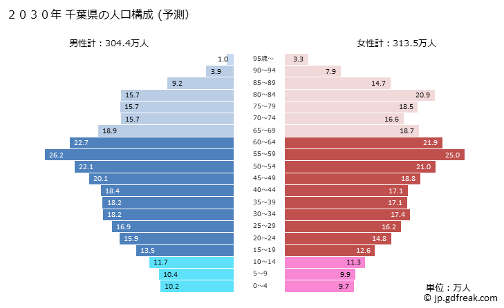 グラフ 千葉県の人口と世帯 2030年の人口ピラミッド（予測）