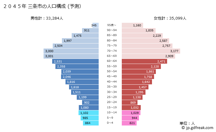 グラフ 三条市(ｻﾝｼﾞｮｳｼ 新潟県)の人口と世帯 2045年の人口ピラミッド（予測）