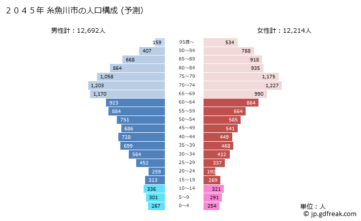 グラフ 糸魚川市(ｲﾄｲｶﾞﾜｼ 新潟県)の人口と世帯 2045年の人口ピラミッド（予測）