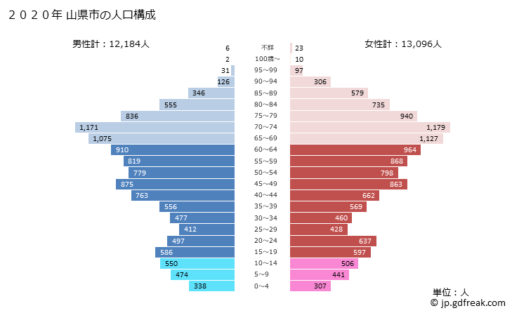 グラフ 山県市(ﾔﾏｶﾞﾀｼ 岐阜県)の人口と世帯 2020年の人口ピラミッド