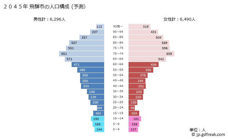 グラフ 飛騨市(ﾋﾀﾞｼ 岐阜県)の人口と世帯 2045年の人口ピラミッド（予測）