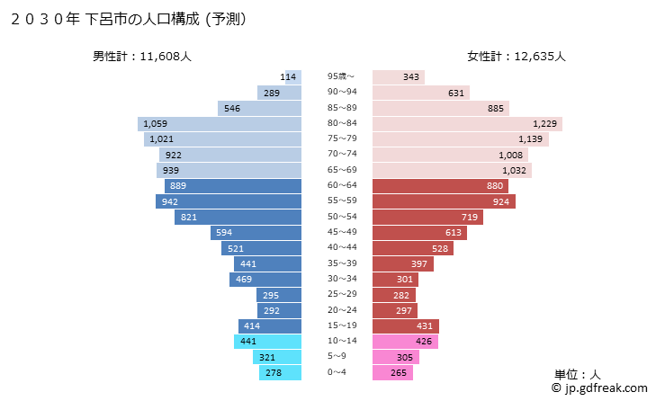 グラフ 下呂市(ｹﾞﾛｼ 岐阜県)の人口と世帯 2030年の人口ピラミッド（予測）