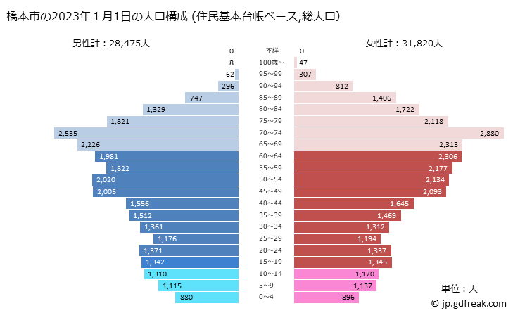 グラフ 橋本市(ﾊｼﾓﾄｼ 和歌山県)の人口と世帯 2023年の人口ピラミッド（住民基本台帳ベース）