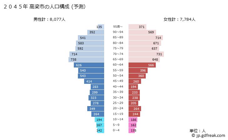 グラフ 高梁市(ﾀｶﾊｼｼ 岡山県)の人口と世帯 2045年の人口ピラミッド（予測）