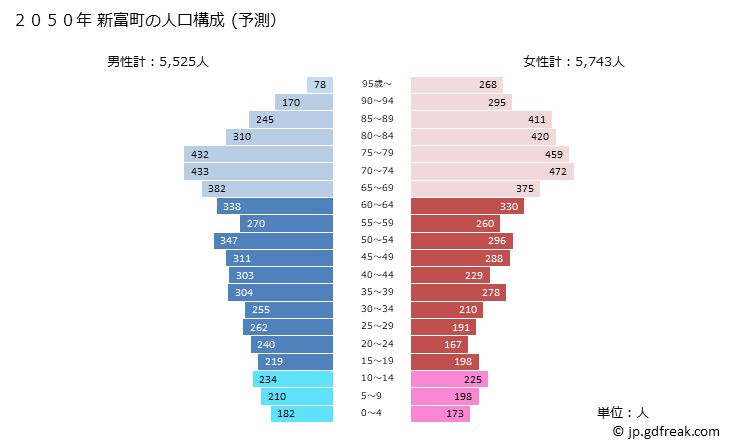 グラフ 新富町(ｼﾝﾄﾐﾁｮｳ 宮崎県)の人口と世帯 2050年の人口ピラミッド（予測）