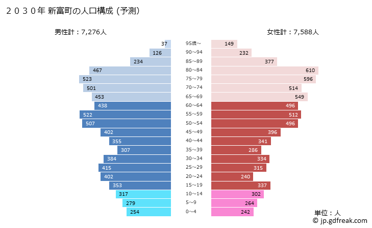 グラフ 新富町(ｼﾝﾄﾐﾁｮｳ 宮崎県)の人口と世帯 2030年の人口ピラミッド（予測）