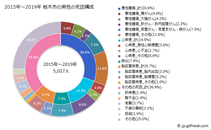 グラフ 年次 栃木市(栃木県)の死亡原因の構成と死亡リスク格差(全国比) 2015年～2019年 栃木市の男性の死因構成