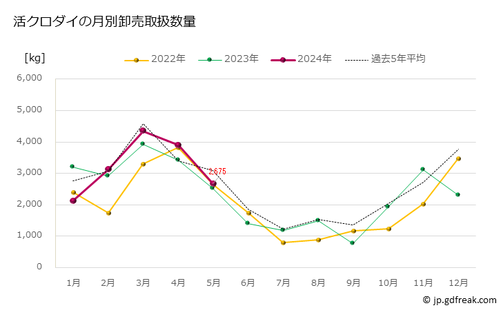 グラフ 豊洲市場の活クロダイ（黒鯛）の市況（月報） 活クロダイの月別卸売取扱数量