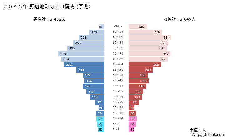 グラフ 野辺地町(ﾉﾍｼﾞﾏﾁ 青森県)の人口と世帯 2045年の人口ピラミッド（予測）