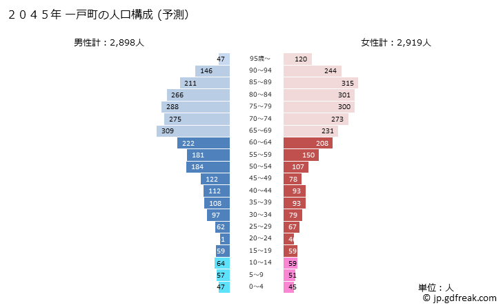 グラフ 一戸町(ｲﾁﾉﾍﾏﾁ 岩手県)の人口と世帯 2045年の人口ピラミッド（予測）