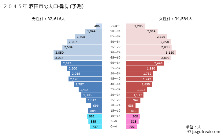 グラフ 酒田市(ｻｶﾀｼ 山形県)の人口と世帯 2045年の人口ピラミッド（予測）