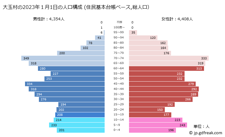 グラフ 大玉村(ｵｵﾀﾏﾑﾗ 福島県)の人口と世帯 2023年の人口ピラミッド（住民基本台帳ベース）