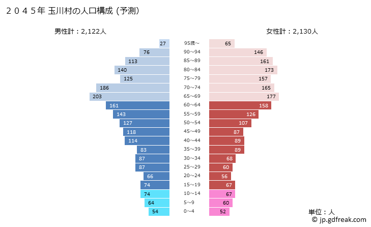 グラフ 玉川村(ﾀﾏｶﾜﾑﾗ 福島県)の人口と世帯 2045年の人口ピラミッド（予測）