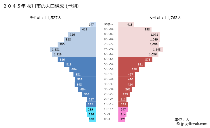 グラフ 桜川市(ｻｸﾗｶﾞﾜｼ 茨城県)の人口と世帯 2045年の人口ピラミッド（予測）