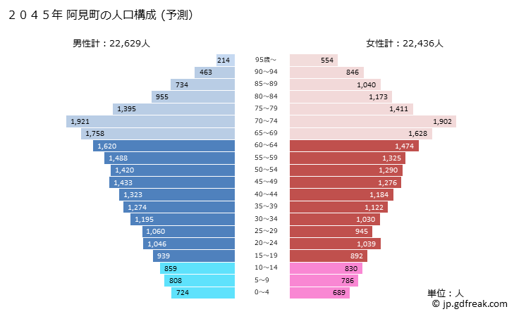 グラフ 阿見町(ｱﾐﾏﾁ 茨城県)の人口と世帯 2045年の人口ピラミッド（予測）