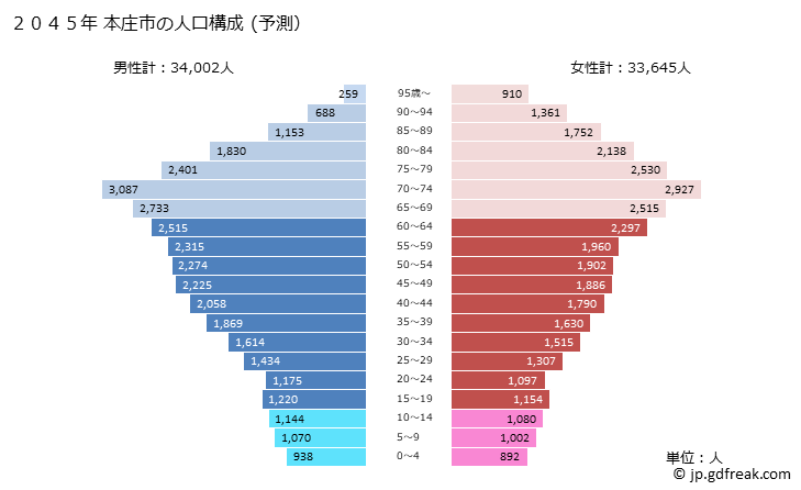 グラフ 本庄市(ﾎﾝｼﾞﾖｳｼ 埼玉県)の人口と世帯 2045年の人口ピラミッド（予測）