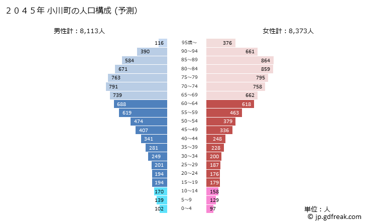 グラフ 小川町(ｵｶﾞﾜﾏﾁ 埼玉県)の人口と世帯 2045年の人口ピラミッド（予測）