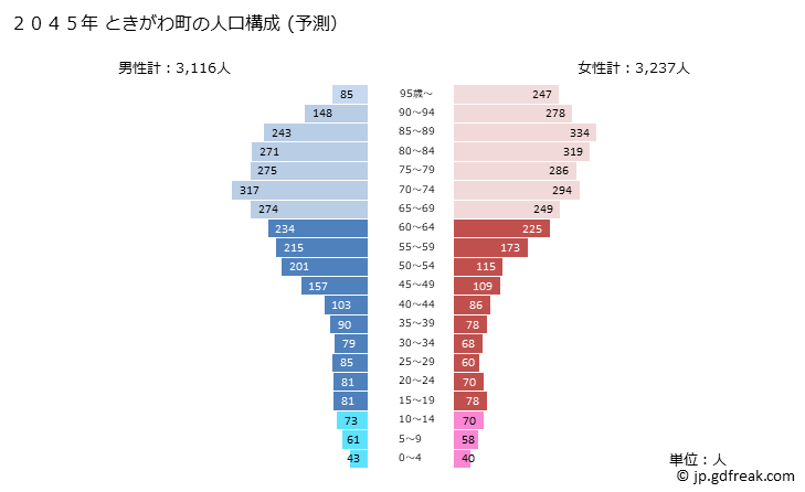 グラフ ときがわ町(ﾄｷｶﾞﾜﾏﾁ 埼玉県)の人口と世帯 2045年の人口ピラミッド（予測）