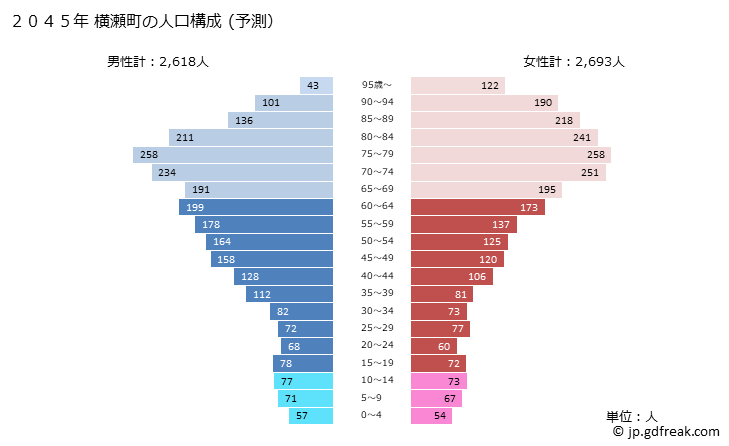 グラフ 横瀬町(ﾖｺｾﾞﾏﾁ 埼玉県)の人口と世帯 2045年の人口ピラミッド（予測）