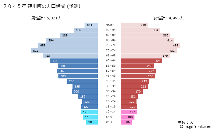 グラフ 神川町(ｶﾐｶﾜﾏﾁ 埼玉県)の人口と世帯 2045年の人口ピラミッド（予測）