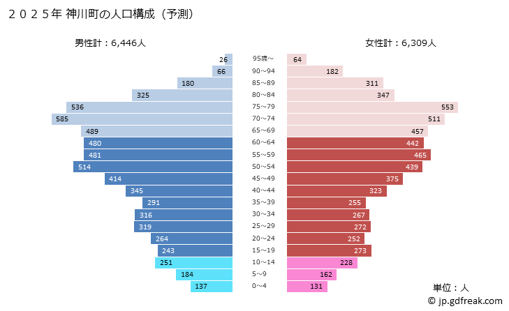 グラフ 神川町(ｶﾐｶﾜﾏﾁ 埼玉県)の人口と世帯 2025年の人口ピラミッド