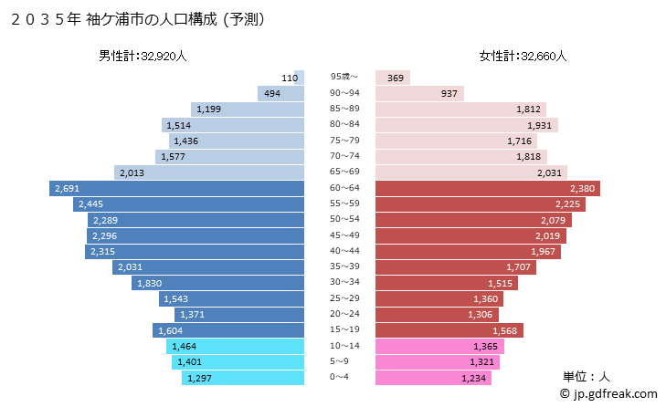 グラフ 袖ケ浦市(ｿﾃﾞｶﾞｳﾗｼ 千葉県)の人口と世帯 2035年の人口ピラミッド（予測）
