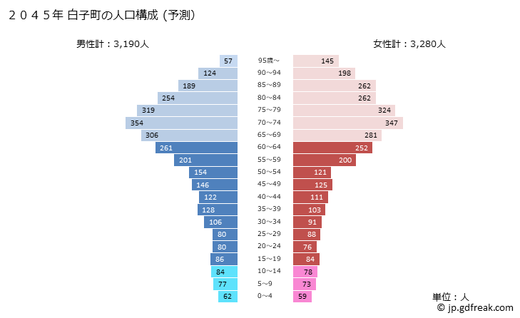 グラフ 白子町(ｼﾗｺﾏﾁ 千葉県)の人口と世帯 2045年の人口ピラミッド（予測）