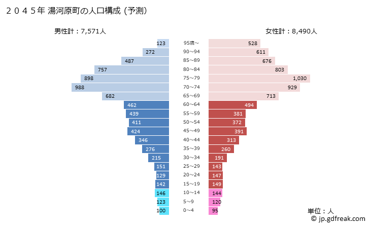 グラフ 湯河原町(ﾕｶﾞﾜﾗﾏﾁ 神奈川県)の人口と世帯 2045年の人口ピラミッド（予測）