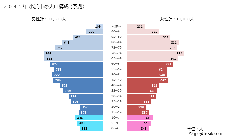 グラフ 小浜市(ｵﾊﾞﾏｼ 福井県)の人口と世帯 2045年の人口ピラミッド（予測）