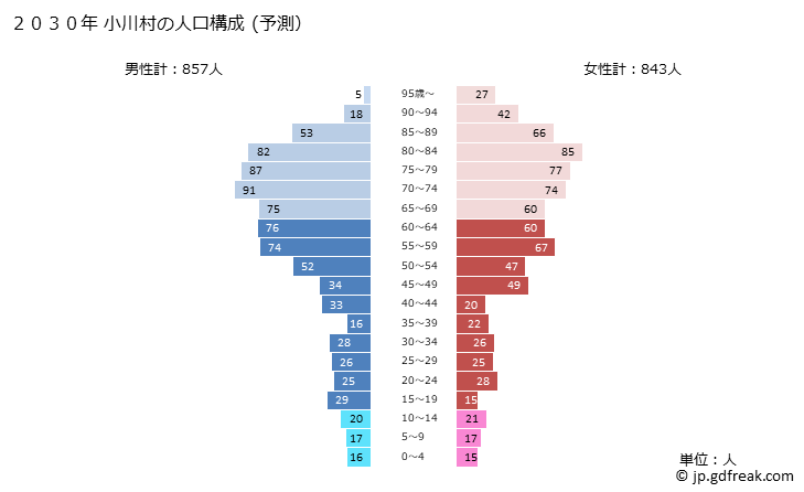 グラフ 小川村(ｵｶﾞﾜﾑﾗ 長野県)の人口と世帯 2030年の人口ピラミッド（予測）