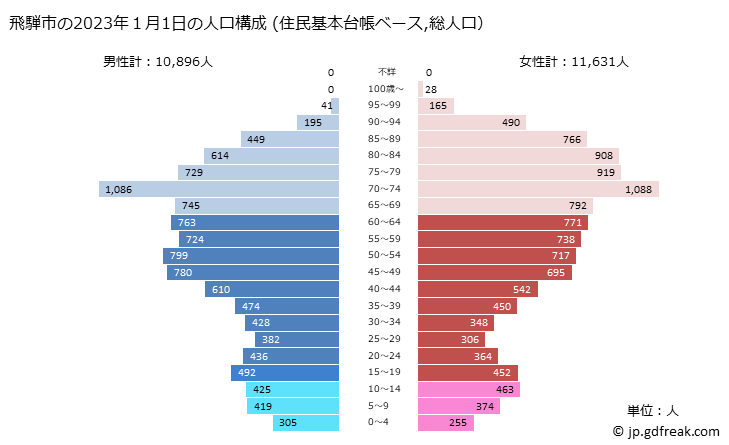 グラフ 飛騨市(ﾋﾀﾞｼ 岐阜県)の人口と世帯 2023年の人口ピラミッド（住民基本台帳ベース）