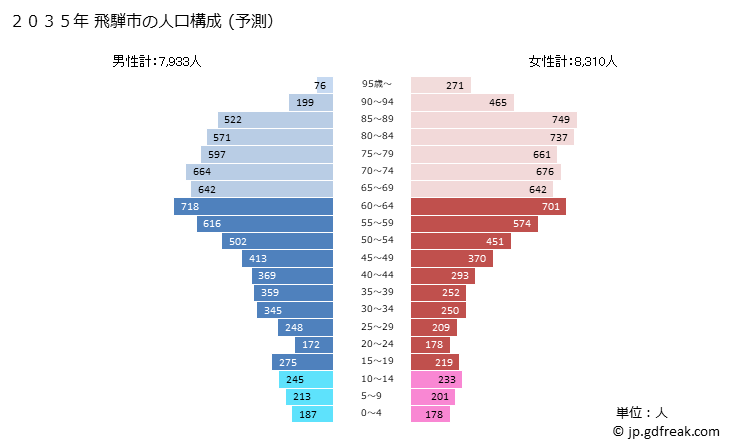 グラフ 飛騨市(ﾋﾀﾞｼ 岐阜県)の人口と世帯 2035年の人口ピラミッド（予測）