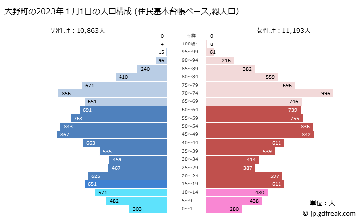 グラフ 大野町(ｵｵﾉﾁｮｳ 岐阜県)の人口と世帯 2023年の人口ピラミッド（住民基本台帳ベース）