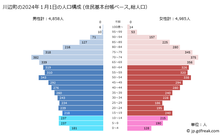 グラフ 川辺町(ｶﾜﾍﾞﾁｮｳ 岐阜県)の人口と世帯 2024年の人口ピラミッド（住民基本台帳ベース）