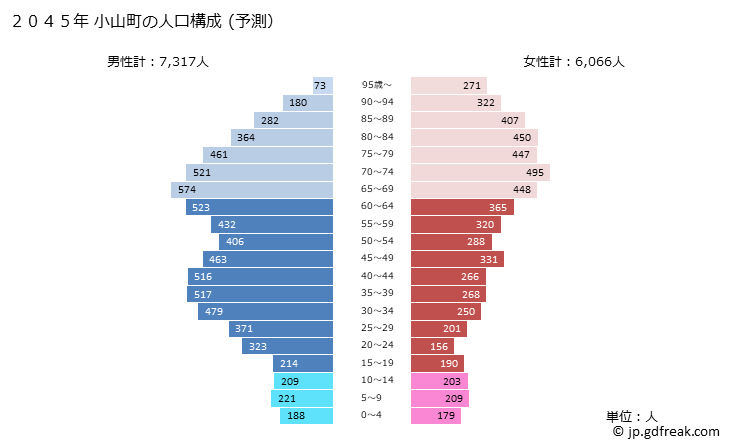 グラフ 小山町(ｵﾔﾏﾁｮｳ 静岡県)の人口と世帯 2045年の人口ピラミッド（予測）