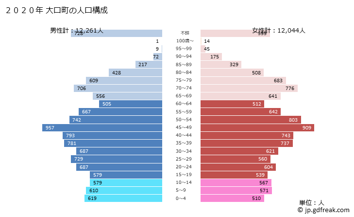 グラフ 大口町(ｵｵｸﾞﾁﾁｮｳ 愛知県)の人口と世帯 2020年の人口ピラミッド