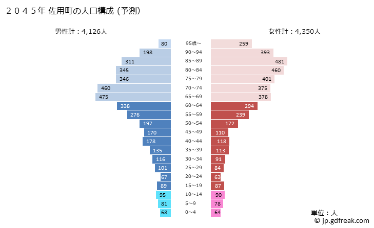 グラフ 佐用町(ｻﾖｳﾁｮｳ 兵庫県)の人口と世帯 2045年の人口ピラミッド（予測）