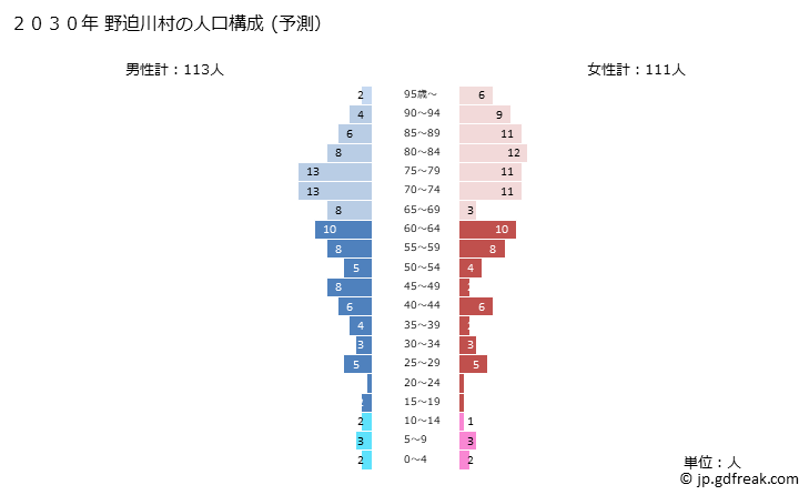 グラフ 野迫川村(ﾉｾｶﾞﾜﾑﾗ 奈良県)の人口と世帯 2030年の人口ピラミッド（予測）